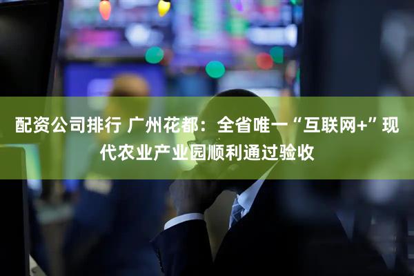 配资公司排行 广州花都：全省唯一“互联网+”现代农业产业园顺利通过验收